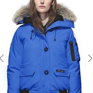 Canada Goose Blue Bomber